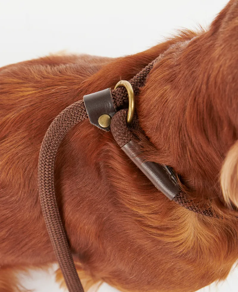 Barbour Slip Lead-2